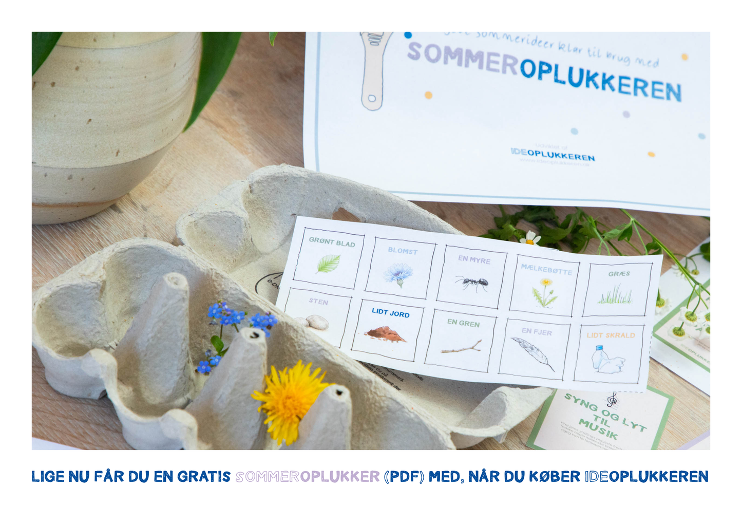 IDE-oplukkeren (inkl. sommer-pdf)